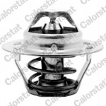CALORSTAT by Vernet Thermostat, Kühlmittel