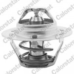 CALORSTAT by Vernet Thermostat, Kühlmittel
