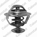 CALORSTAT by Vernet Thermostat, Kühlmittel