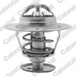 CALORSTAT by Vernet Thermostat, Kühlmittel