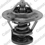 CALORSTAT by Vernet Thermostat, Kühlmittel