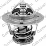 CALORSTAT by Vernet Thermostat, Kühlmittel