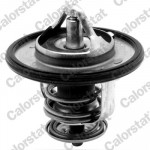 CALORSTAT by Vernet Thermostat, Kühlmittel