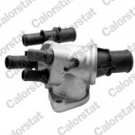 CALORSTAT by Vernet Thermostat, Kühlmittel