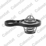 CALORSTAT by Vernet Thermostat, Kühlmittel