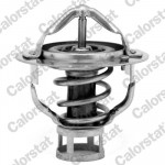 CALORSTAT by Vernet Thermostat, Kühlmittel