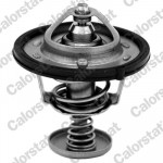 CALORSTAT by Vernet Thermostat, Kühlmittel
