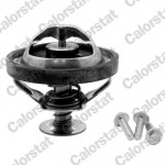 CALORSTAT by Vernet Thermostat, Kühlmittel