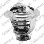 CALORSTAT by Vernet Thermostat, Kühlmittel