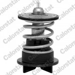 CALORSTAT by Vernet Thermostat, Kühlmittel