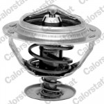 CALORSTAT by Vernet Thermostat, Kühlmittel