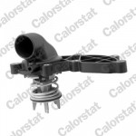 CALORSTAT by Vernet Thermostat, Kühlmittel