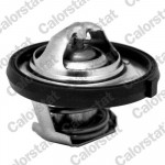 CALORSTAT by Vernet Thermostat, Kühlmittel