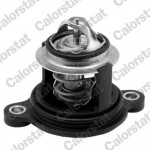 CALORSTAT by Vernet Thermostat, Kühlmittel