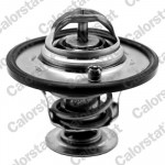 CALORSTAT by Vernet Thermostat, Kühlmittel