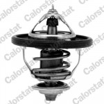 CALORSTAT by Vernet Thermostat, Kühlmittel