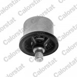 CALORSTAT by Vernet Thermostat, Kühlmittel