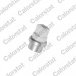 CALORSTAT by Vernet Sensor, Kühlmitteltemperatur