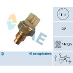 FAE Sensor, Kühlmitteltemperatur