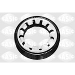 SASIC Wellendichtring, Differential