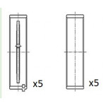 FAI AutoParts Kurbelwellenlager