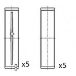 FAI AutoParts Kurbelwellenlager