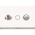 FAI AutoParts Wasserpumpe