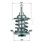 MAHLE Thermostat, Kühlmittel