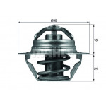 MAHLE Thermostat, Kühlmittel