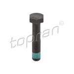 TOPRAN Riemenscheibenschraube