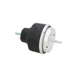 AUTOMEGA Lagerung, Motor