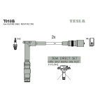 TESLA Zündleitungssatz