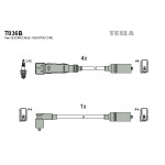 TESLA Zündleitungssatz