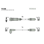 TESLA Zündleitungssatz