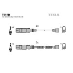 TESLA Zündleitungssatz