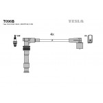 TESLA Zündleitungssatz