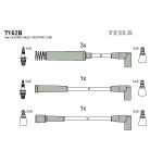 TESLA Zündleitungssatz