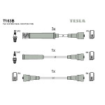 TESLA Zündleitungssatz