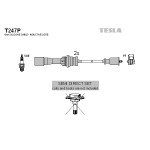 TESLA Zündleitungssatz