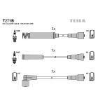 TESLA Zündleitungssatz