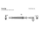 TESLA Zündleitungssatz