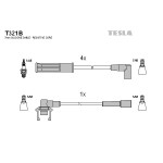 TESLA Zündleitungssatz