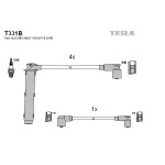 TESLA Zündleitungssatz