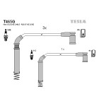 TESLA Zündleitungssatz