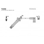 TESLA Zündleitungssatz