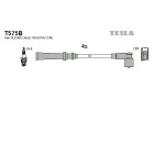 TESLA Zündleitungssatz