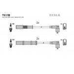 TESLA Zündleitungssatz
