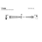 TESLA Zündleitungssatz