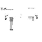 TESLA Zündleitungssatz