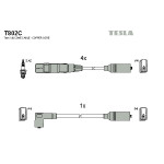 TESLA Zündleitungssatz